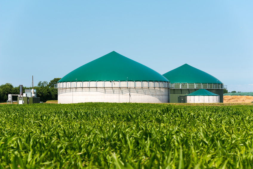 Beratung zur Flexibilisierung von Biogasanlagen